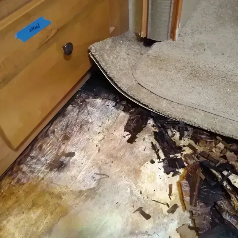 Wood Floor Water Damage in Iowa County, IA